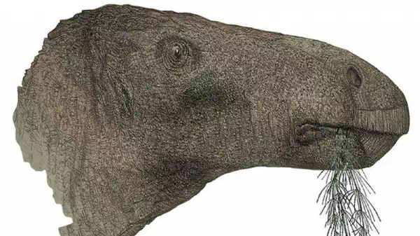 Insgesamt 149 Knochen - Forscher fanden in England unbekannten Dinosaurier