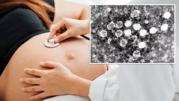 Gefahr für Babys - Schweizer Forscher warnen vor Parvovirus-Epidemie
