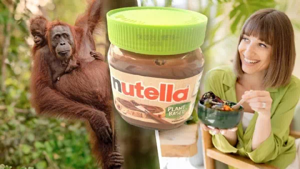 Böse Zutat bleibt aber - Schoko-Klassiker vegan: Endlich „grünes“ Nutella