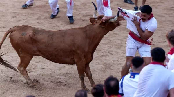 Umstrittenes Event - Sechs Verletzte bei blutiger Stierhatz in Pamplona
