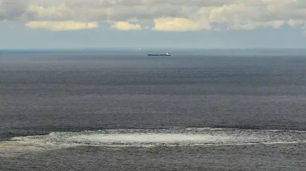 Als Tauchlehrer tätig - Nord-Stream-Anschläge: Haftbefehl gegen Ukrainer
