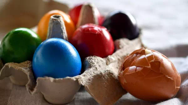 Check leicht möglich - Was unter der Schale der Ostereier steckt