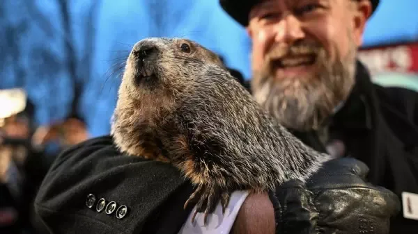 Schatten nicht erkannt - Murmeltiertag: „Phil“ sieht den Frühling kommen
