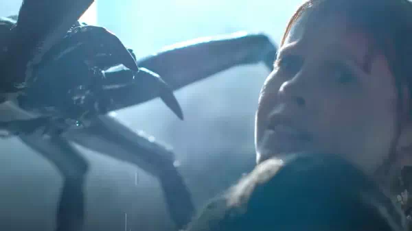 Neuer Film ab 20. Juni - Spinnen-Horror: Große Angst vor kleinen Viechern