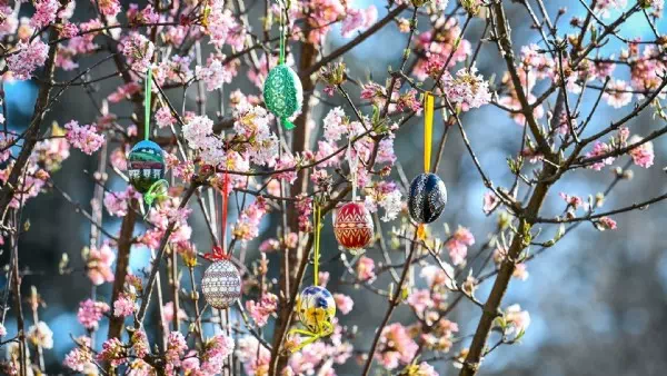 Forum - Was ist Ihre Palmsonntags-Tradition?