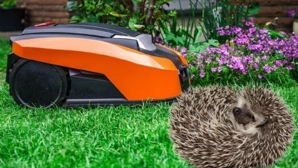 8 Regeln retten Leben - Kinder & Tiere in Gefahr: Robomäher richtig nutzen