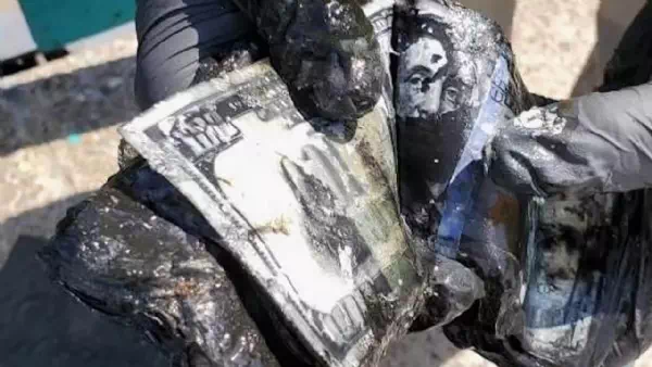 Fund beim Magnetangeln - Paar holt Tresor mit 100.000 $ Bargeld aus Teich