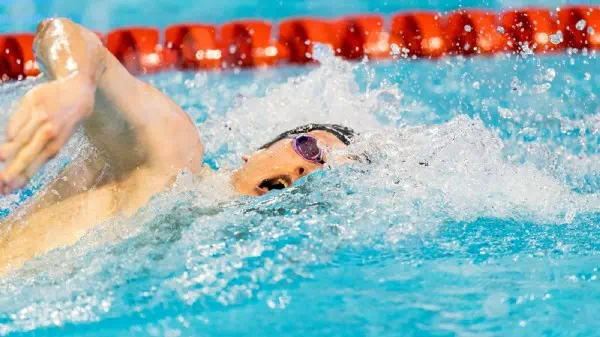 Schwimm-Hoffnungen - Auböck im WM-Finale - auch Kreundl weiter