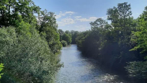 EU-Naturgesetz - Jurist: Weg frei, sobald ein Bundesland dafür ist