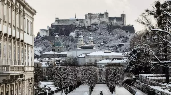 „Krone“-Wahlserie - Sieben Kandidaten für Stadtchef-Posten in Salzburg