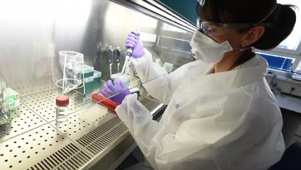 „Risiko eher gering“ - Erstmals Todesfall mit Vogelgrippe-Virus Typ H5N2