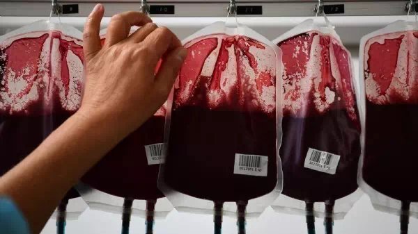 Herzog scherzt - Austria? ManCity? „Habe mit Bayern verhandelt“