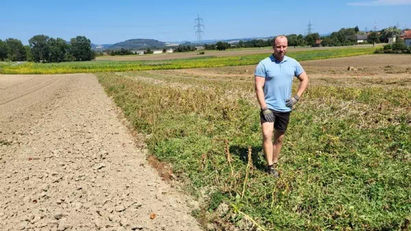 Bauern „machtlos“ - Diebe schleichen mit Stirnlampen nachts aufs Feld