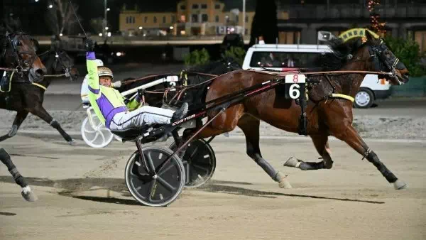 Pferdesport   - Mayr holt sich im letzten Rennen Traber-Championat
