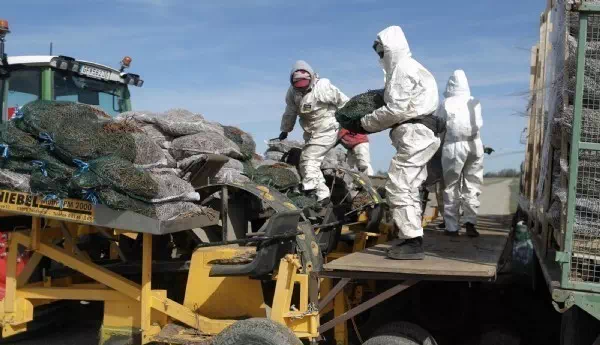 Angriff auf Sewastopol - Kiew nennt Verletzte und Tote „zivile Besatzer“
