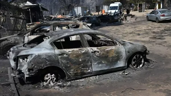 143 Feuer im Land - Mindestens 19 Tote bei Waldbränden in Chile