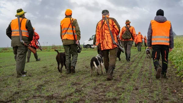 Slowaken in Angst - Menschen attackiert: Jagd auf nächsten Problembär