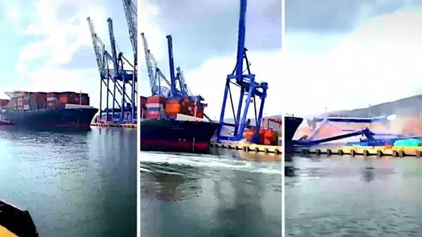 Anlegen missglückt - Containerschiff bringt drei Hafenkräne zu Fall
