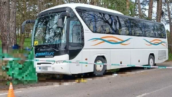 Rechtsruck in Europa: - „Bäume der Ultrarechten wachsen nicht in Himmel“