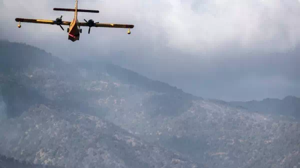 Wirre Videoschalte - Kneissl redet aus Holzhütte mit UN-Sicherheitsrat