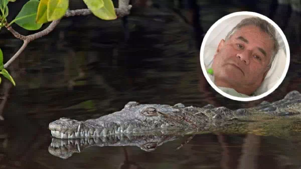 Boot war gekentert - 68-Jähriger überlebt Krokodil-Attacke in Florida