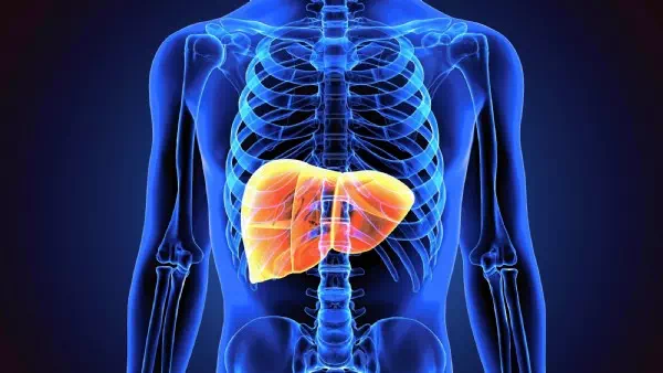 Leberzirrhose, Krebs - Gefahren von Hepatitis erkennen und vorbeugen!