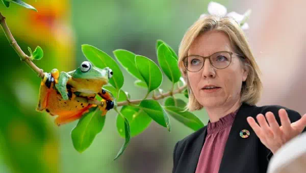 Renaturierungs-Streit - Gemeindebund verlangt: Ministerium soll zahlen!