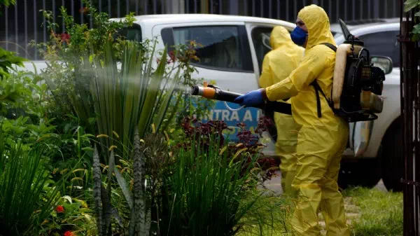 Notstand ausgerufen - Brasilien: Rasanter Anstieg bei Dengue-Infektionen