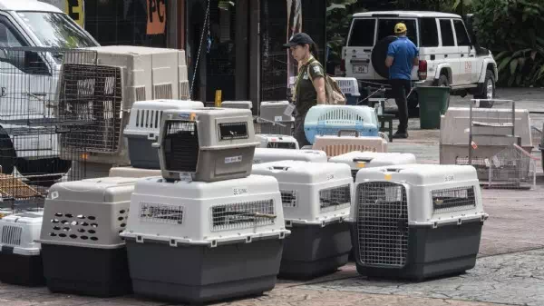 Verspätetes Aus - Costa Rica sperrt letzte staatliche Tiergärten zu