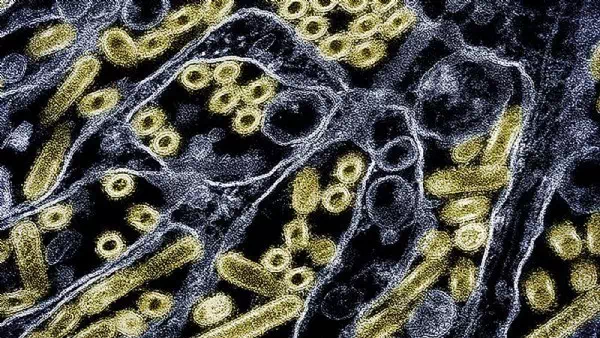 Sie ist erst 17 Jahre - Bogenschützin ohne Arme begeistert die ganze Welt