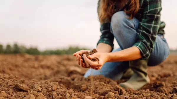 Grüne verärgert - Bodenschutz: Es kracht zwischen Bund und Ländern