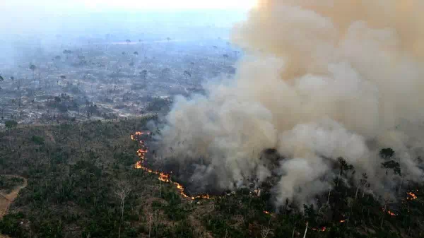 Rauch über Brasilien - Klimawandel: Heftige Brände im Amazonasgebiet