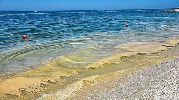 Urlaub trotzdem schön - Badegästen ist Algenschleim in Kroatien wurscht