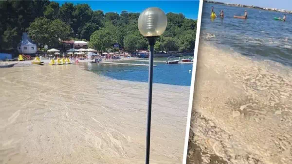Verschleimte Adria - Algenteppich breitet sich aus, Urlauber „flüchten“