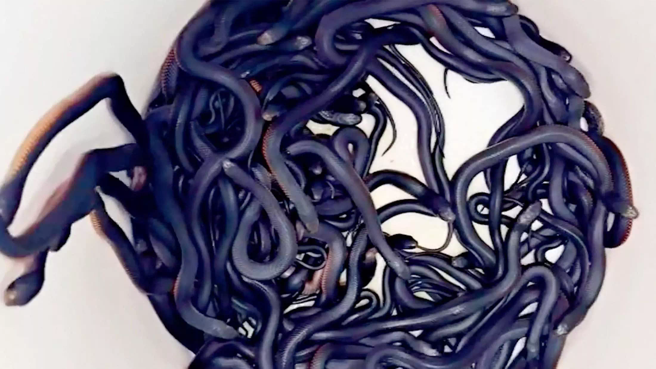 „Geiseln endlich frei: 471 Tage Gefangenschaft beendet!“