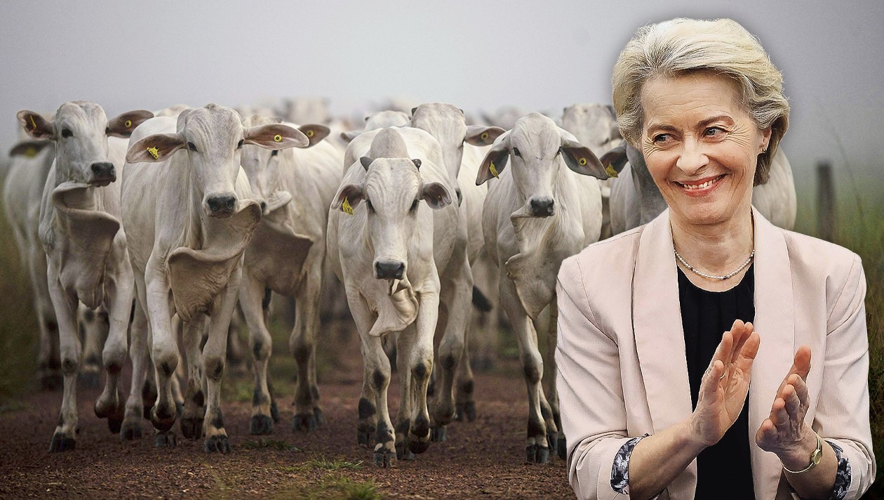 EU verlängert Frist für Mercosur-Abkommen