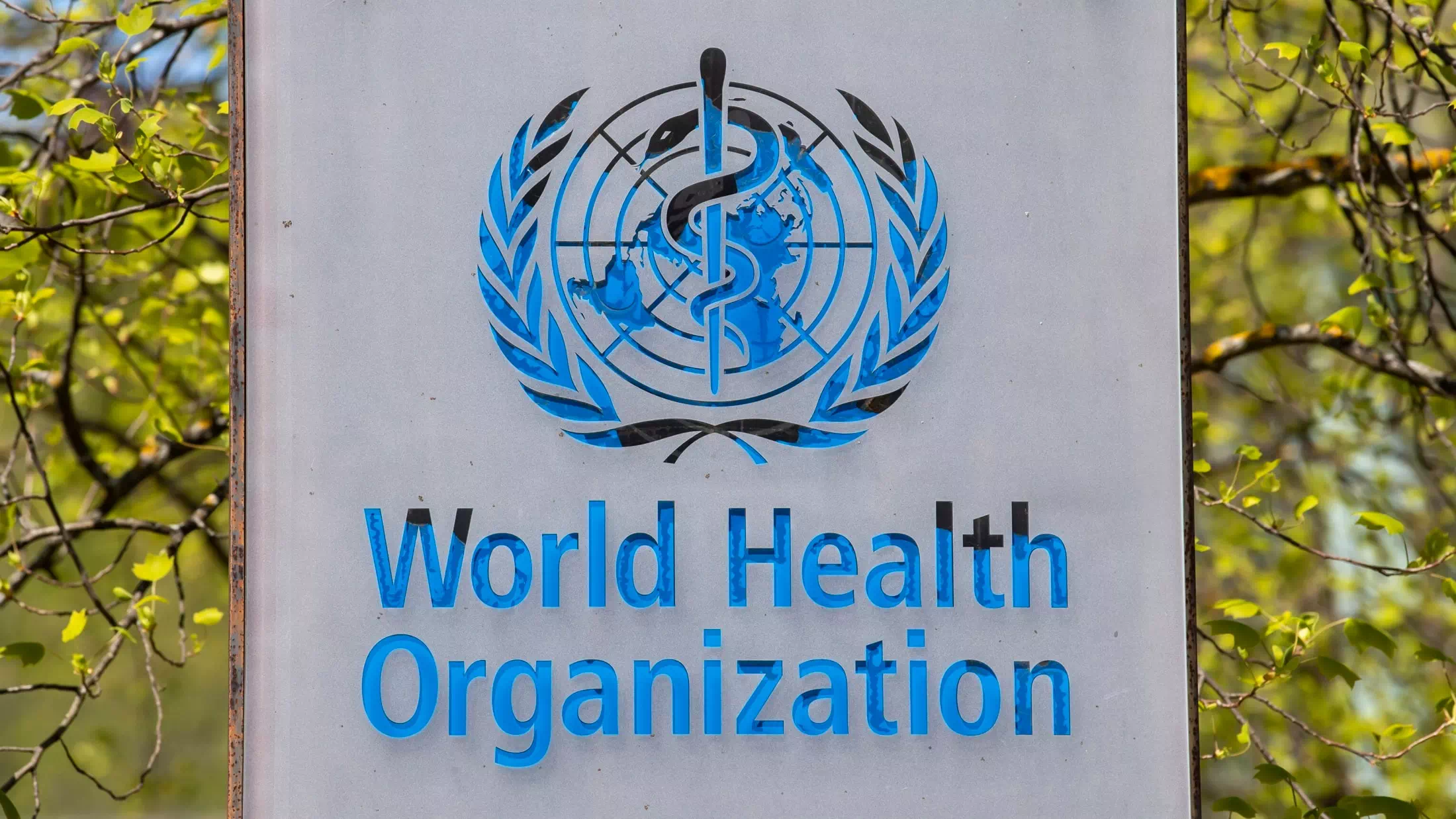 WHO kündigt Einstellungsstopp nach US-Austritt an