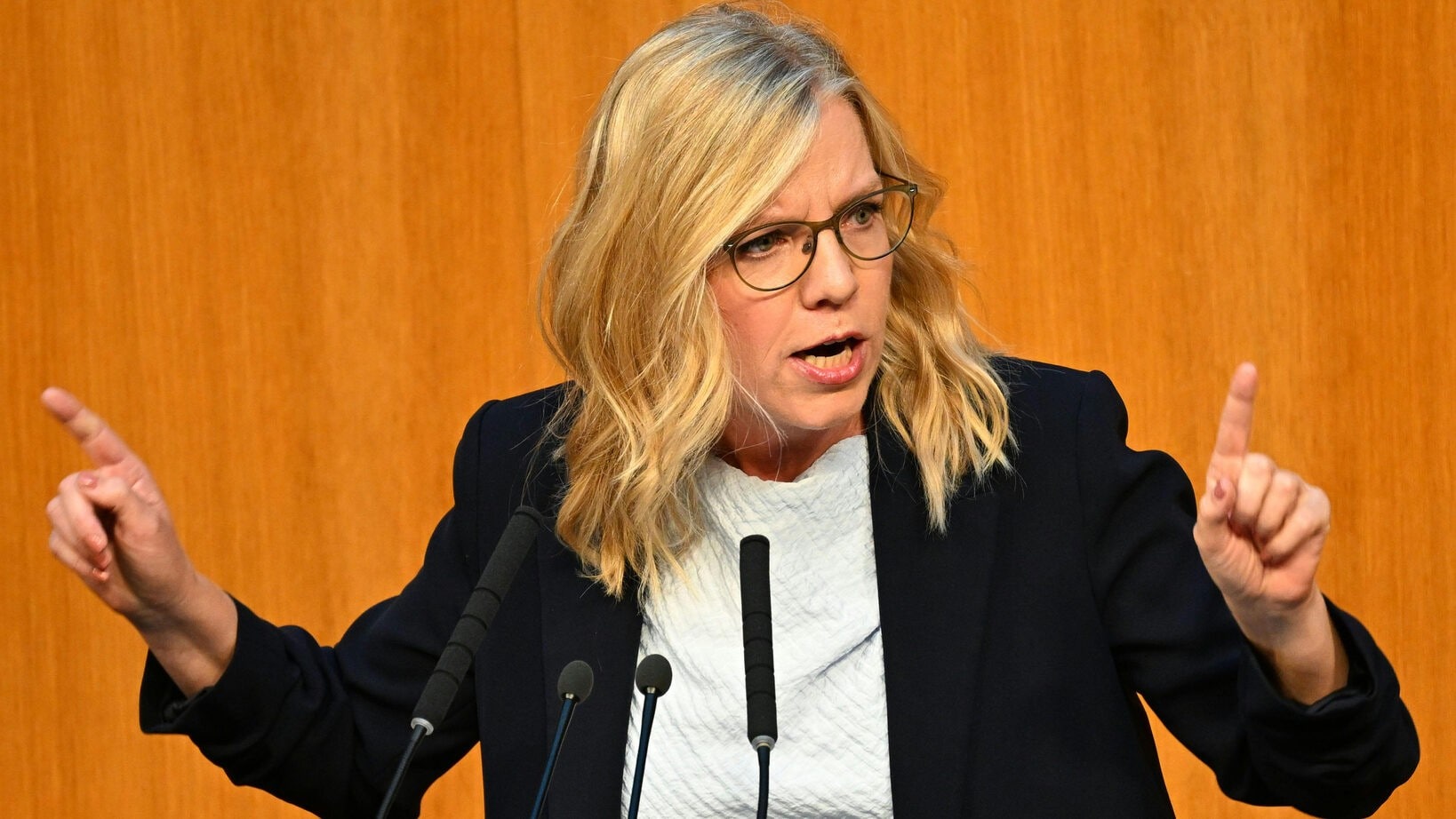 Grüne fordern Sondersitzung zum Klimaschutzgesetz