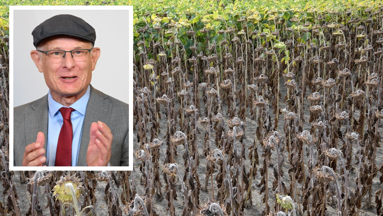 Hitze verursacht Milliardenschäden in der Landwirtschaft