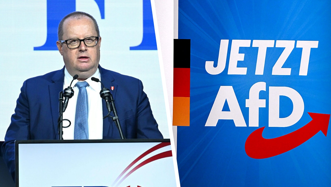 AfD plant Strategietreffen für Wahlen im Osten