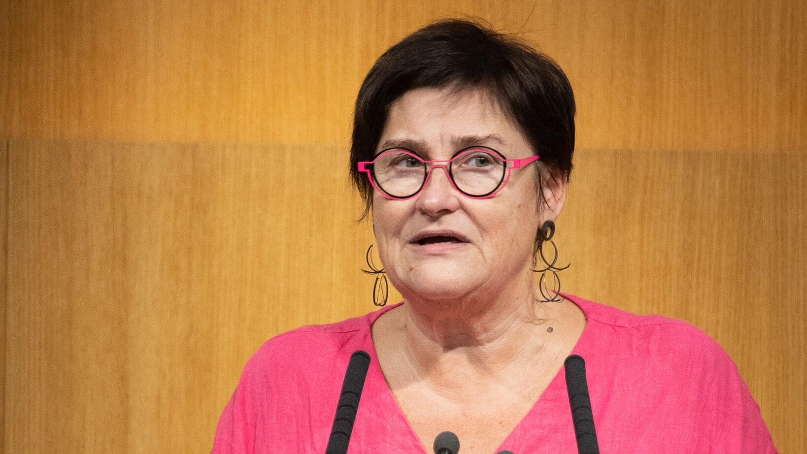 Petra Bayr kämpft um PACE-Vorsitz gegen Tiblom