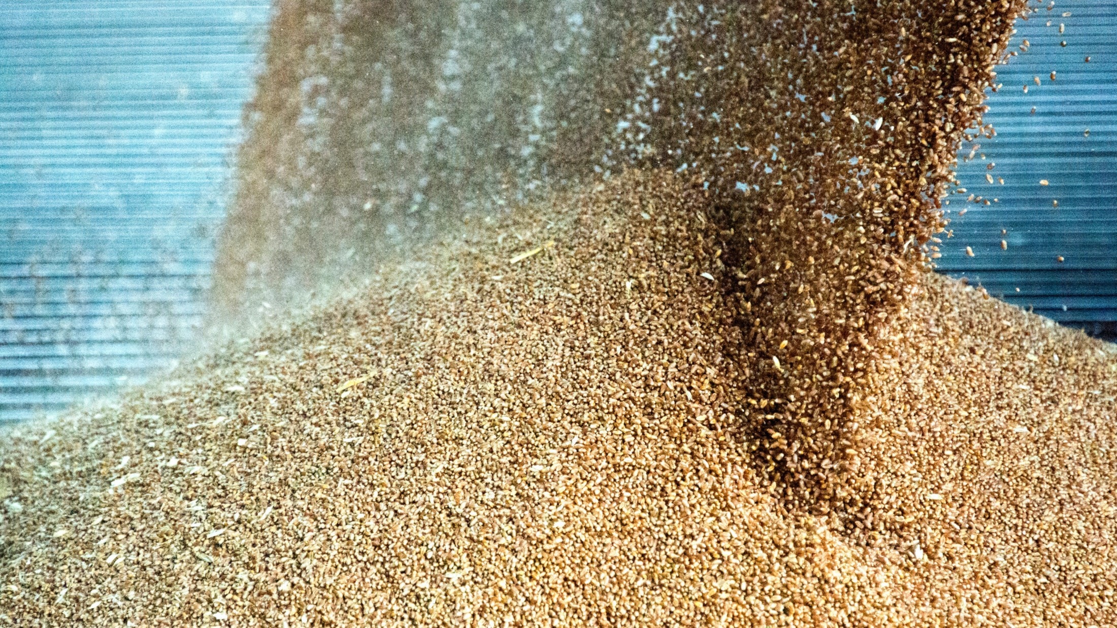 „Österreichs Agrarhandel mit Mercosur bleibt gering“