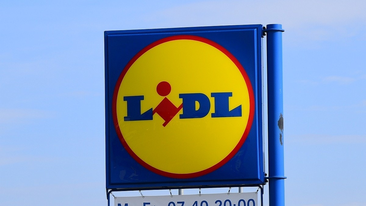 Rückruf: Protein-Pudding bei Lidl betroffen!