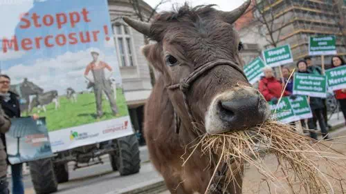 EU-Mercosur-Abkommen tritt am 1. Mai in Kraft