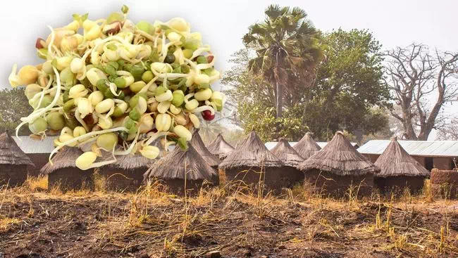 Trump will geheime Dokumente zu JFK-Morden freigeben