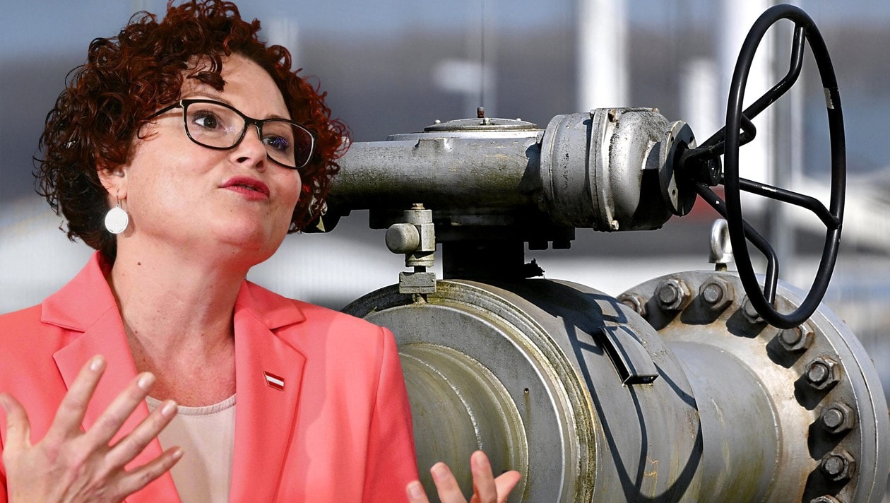 Zehetner: Optionen für Erdgasimporte offenhalten