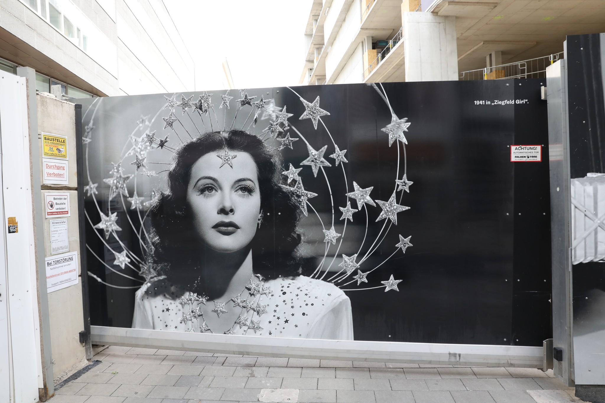 „Filmarchiv kauft bedeutenden Hedy Lamarr Nachlass“