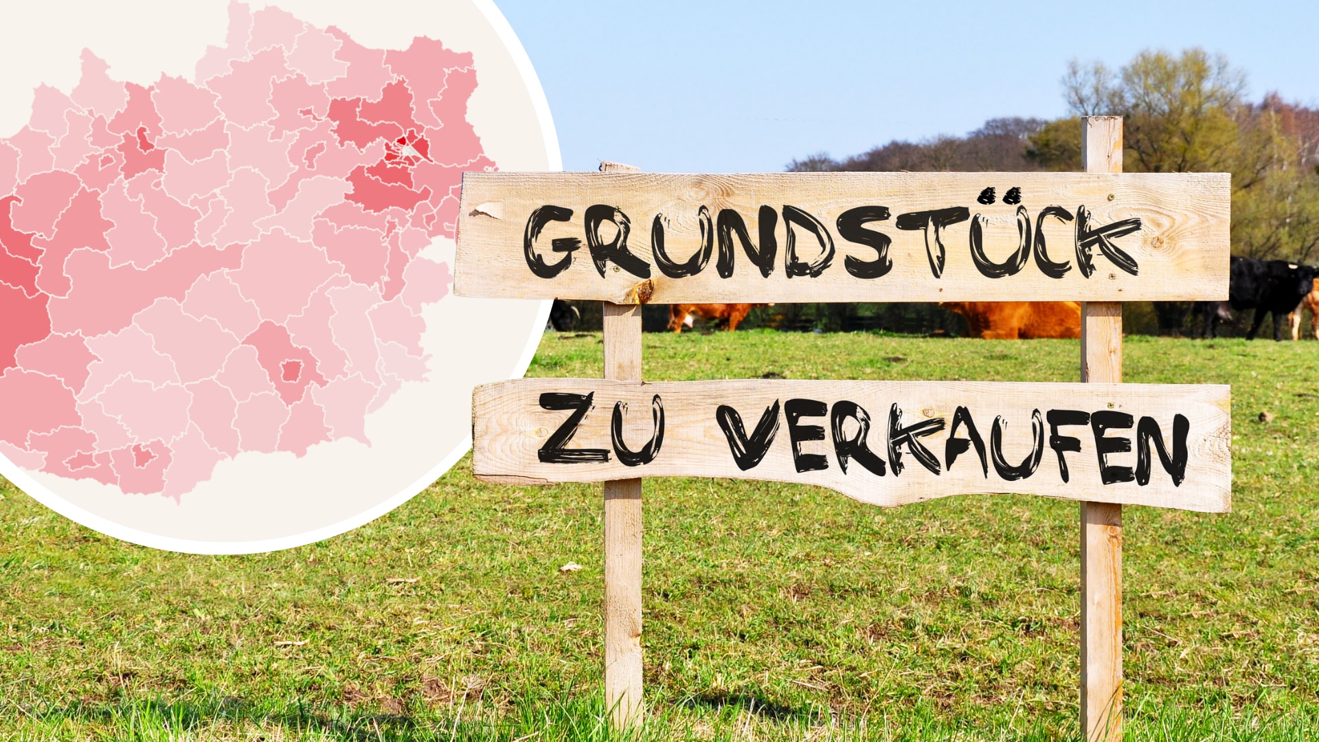 „Preisschock: Baugrundstücke für Österreicher unerreichbar“