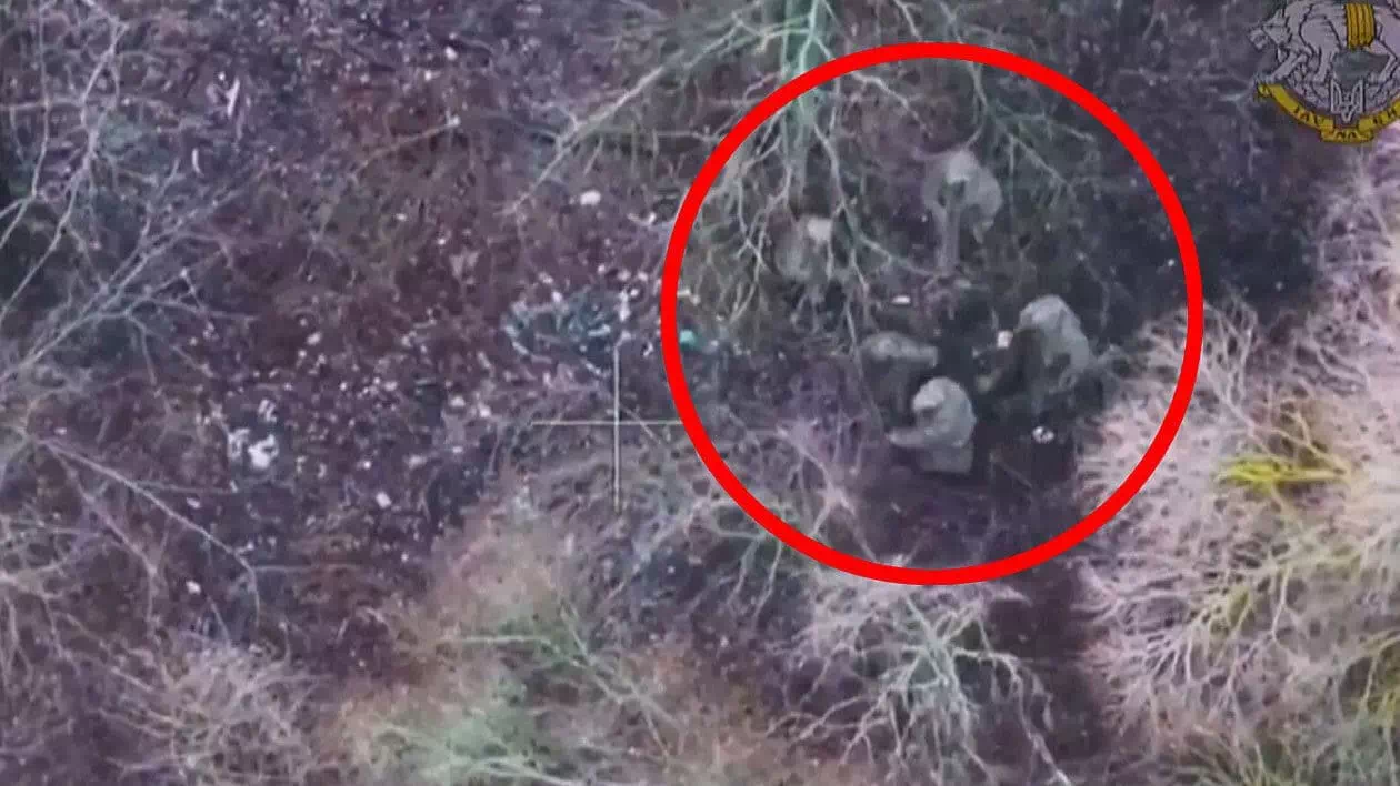 Nordkorea: 300 Soldaten in Ukraine gefallen