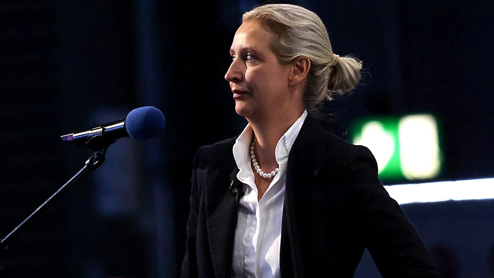 EU prüft AfD und rechtsextreme Parteienfamilie